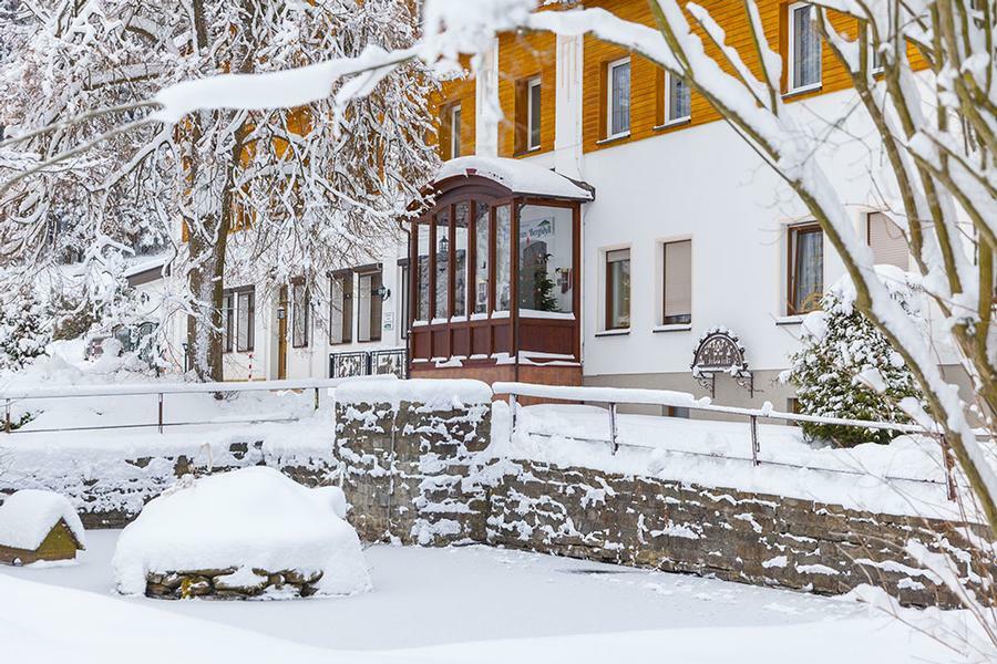 Landhaus Bergidyll Bärenstein Dış mekan fotoğraf