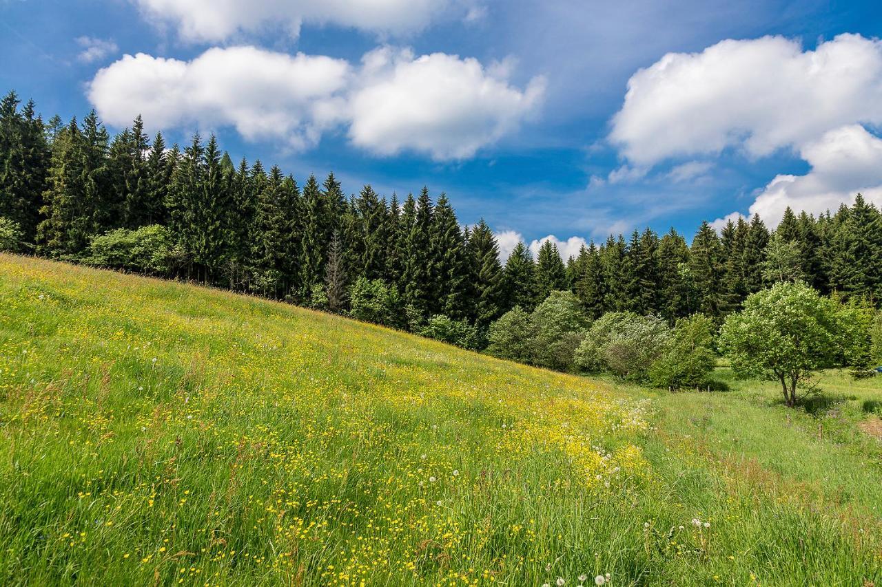 Landhaus Bergidyll Bärenstein Dış mekan fotoğraf